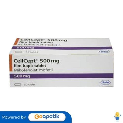 Cellcept 500 Mg Box 50 Kaplet