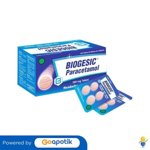 Biogesic 500 Mg Box 100 Tablet