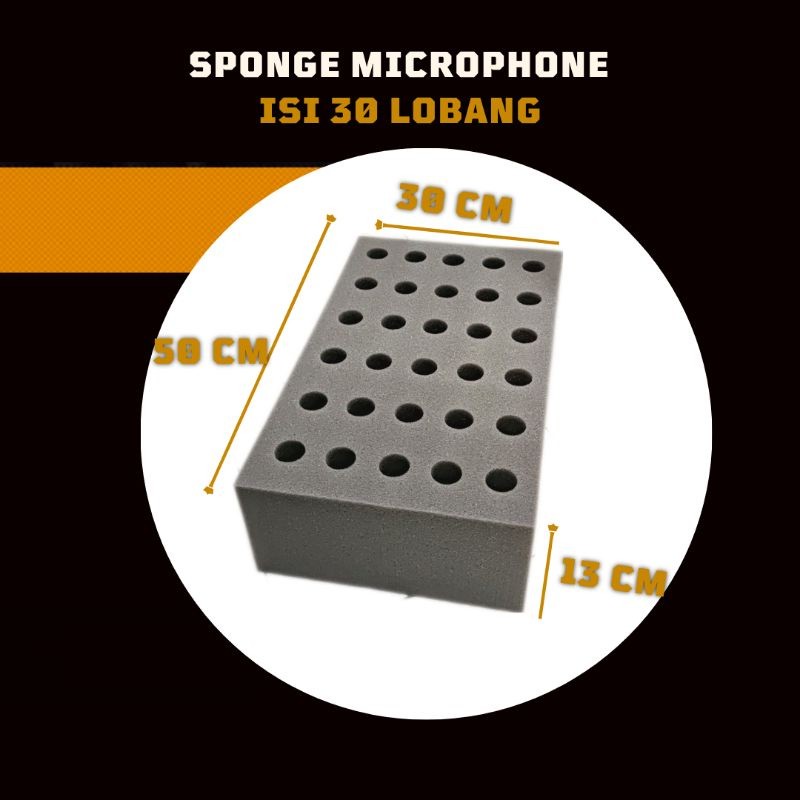Sponge Microphone 30 Lobang