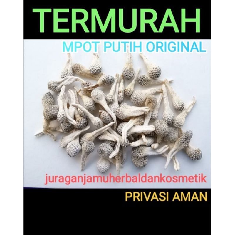 MPOT AYAM UTUH HITAM DAN PUTIH [ARS]