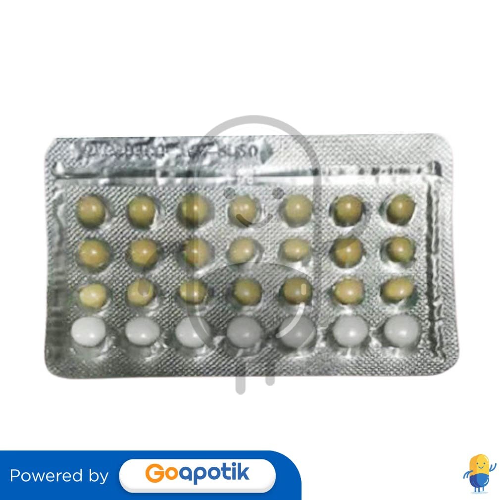 Andalan Blister 28 Tablet