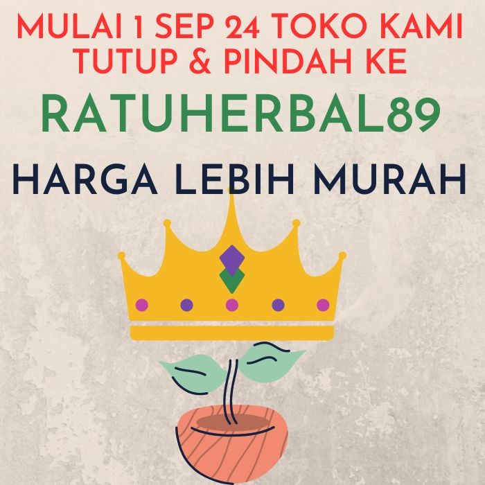 Zhigenkap obat wasir