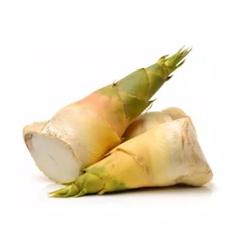 Rebung Bambu Muda Segar