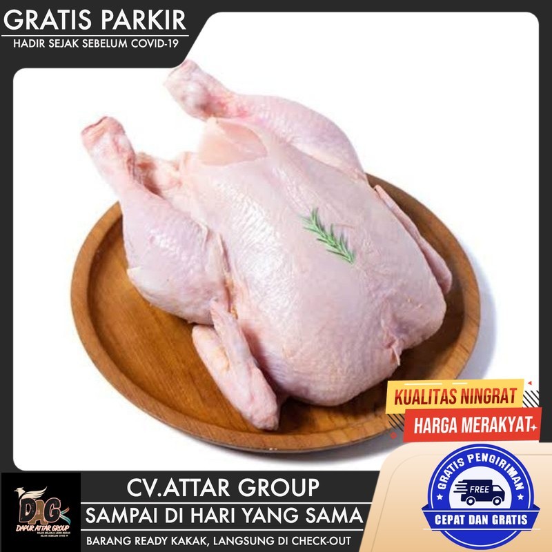 Ayam Broiler 800-1000Gram