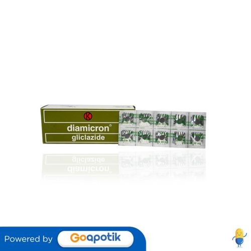 Diamicron 80 Mg Box 120 Tablet
