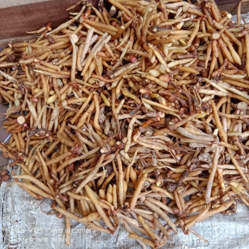 Temu Kunci 200gram