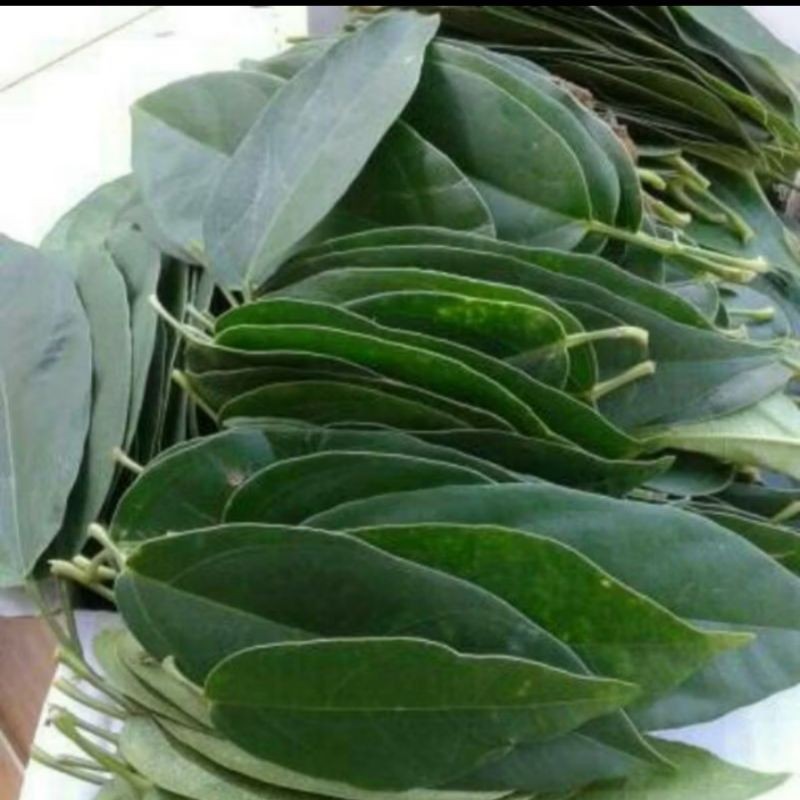 cod daun cincau peredu/200pcs