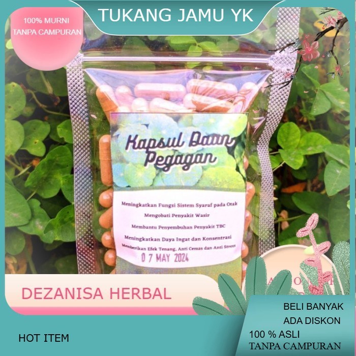 Kapsul Pegagan (isi 100) Herbal