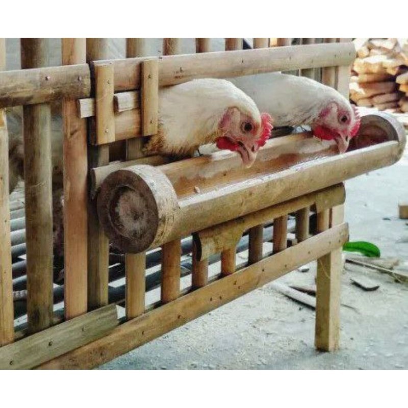 Tempat Pakan Ayam Dari Bambu