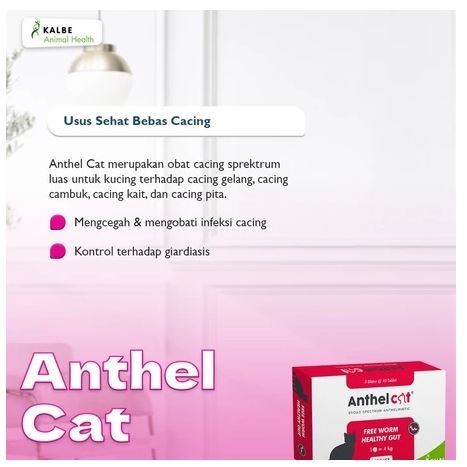 Anthel Cat Obat Cacing Kucing 1 Tablet