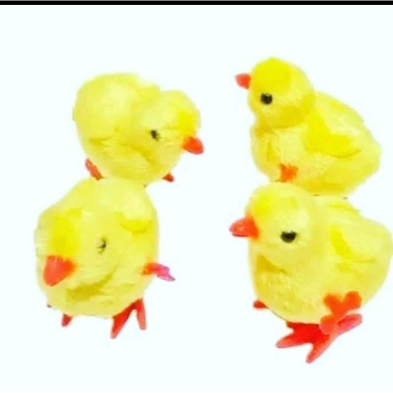 ayam2