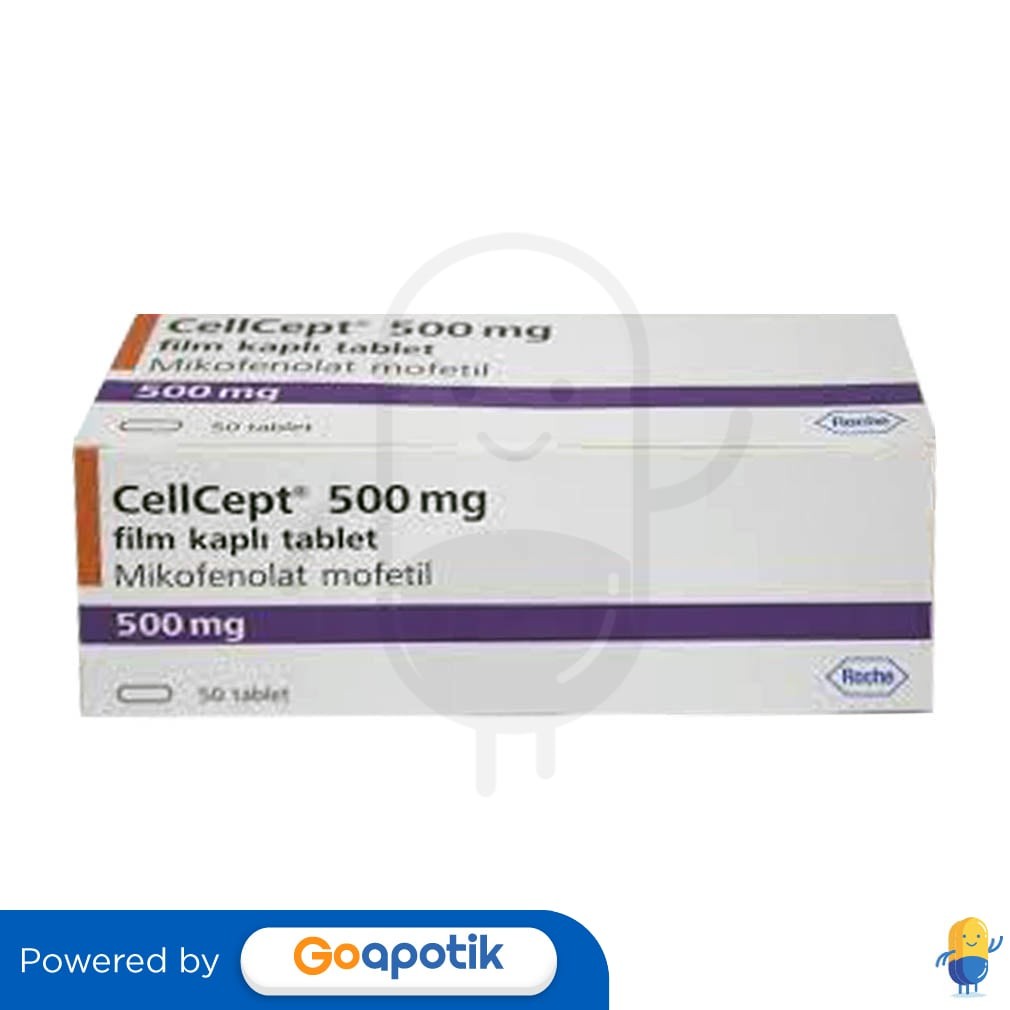 Cellcept 500 Mg Box 50 Kaplet