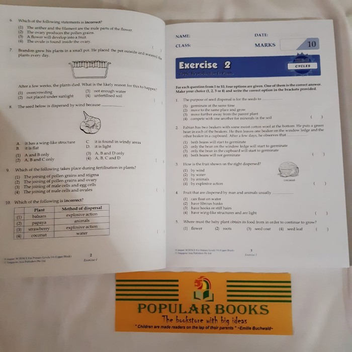 Conquer Science For Primary Levels 5/6