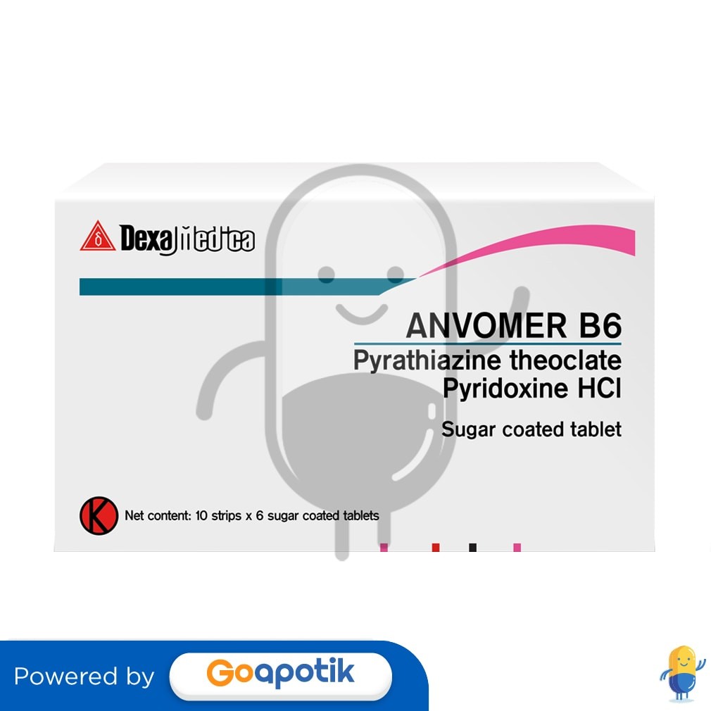 Anvomer B6 Box Isi 60 Tablet