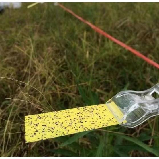 Spray Machine Water Sensitive Paper Drop Test Card Drone