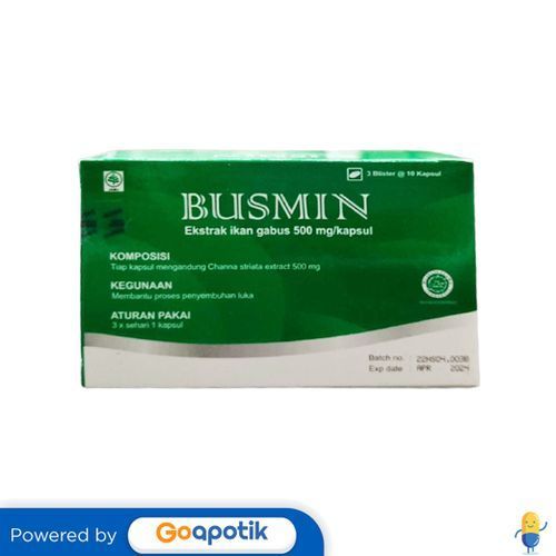 Busmin 500 Mg Box 30 Kapsul