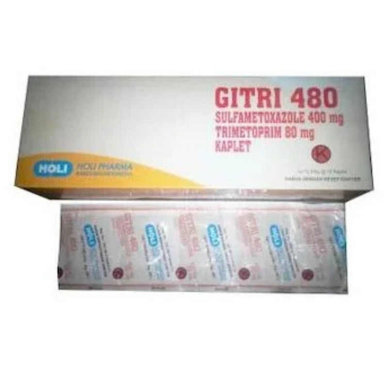 GITRI 480 1 STRIP @ 10 KAPLET
