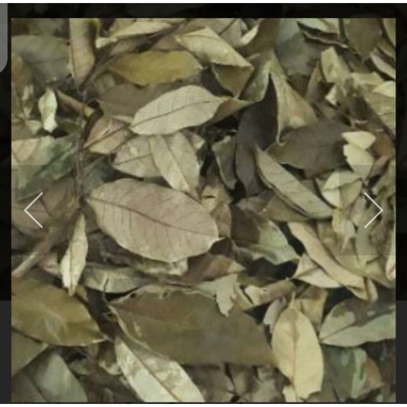 Daun Pala Kering 100gram