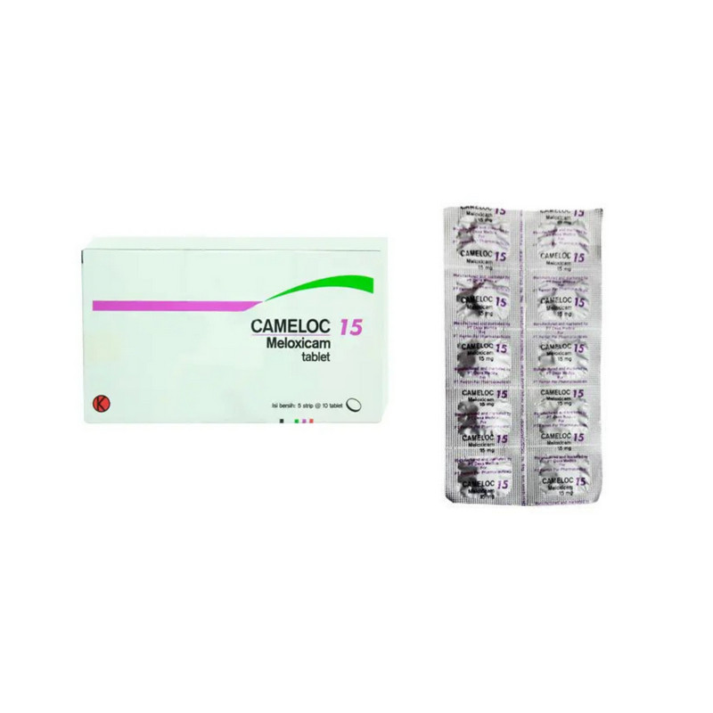 CAMELOC 15 MG 1 STRIP @ 10 TABLET