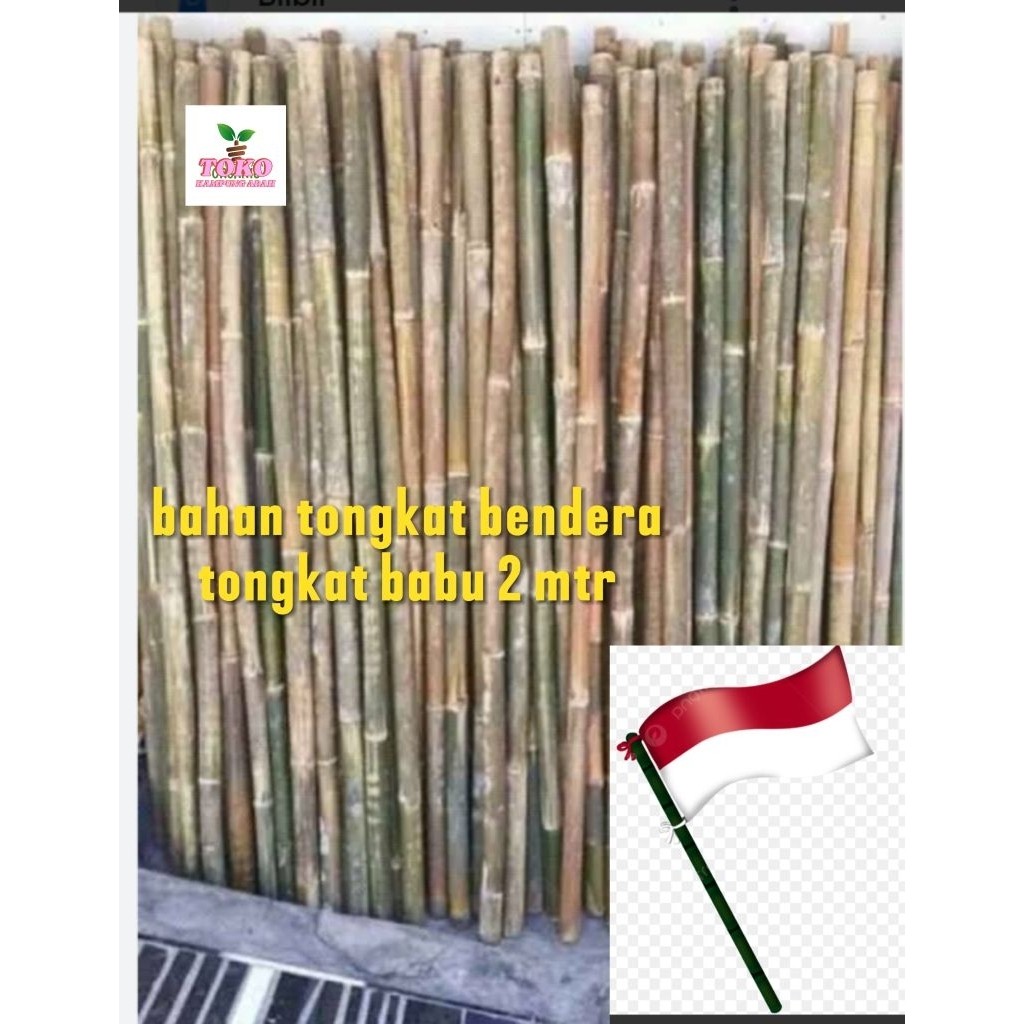 tongkat bambu bahan bendera 2 mtr