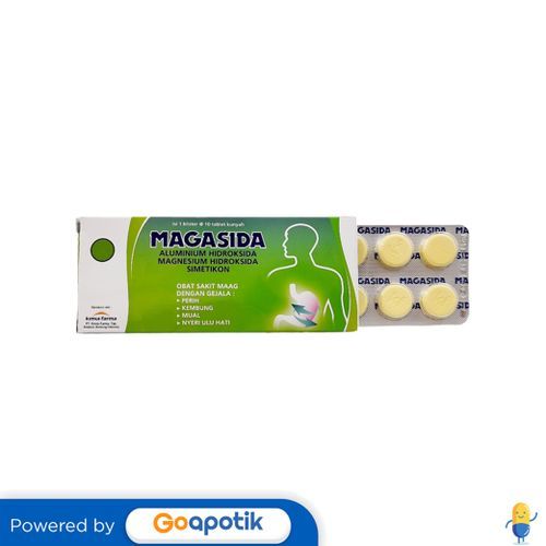 Magasida Box Isi 10 Tablet