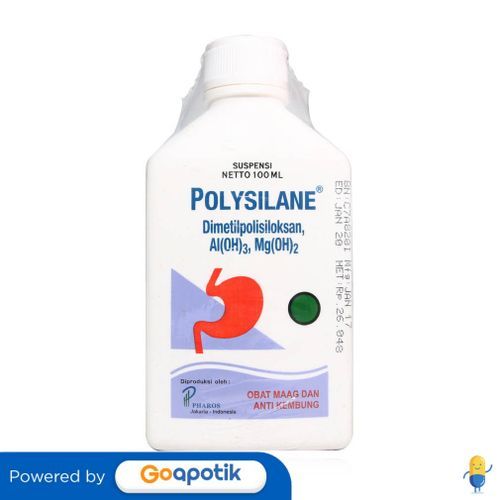Polysilane Syrup Isi 100 Ml Botol