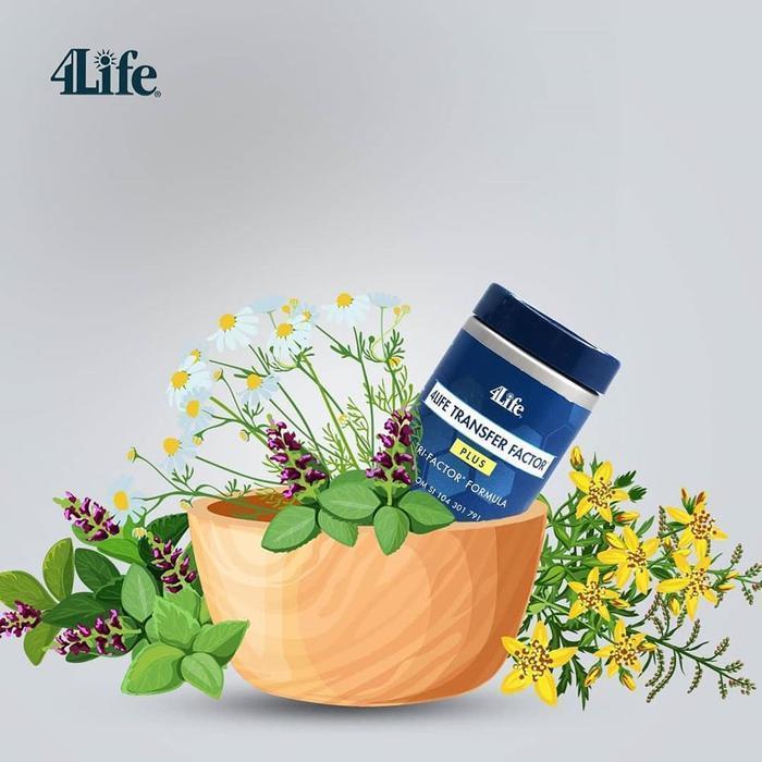 Ready 4life Transfer Factor Plus - Isi 60&90 - 60 KAPSUL