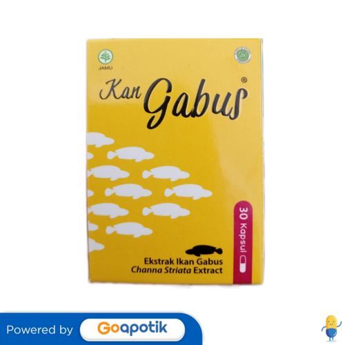 Royal Kan Gabus Box 30 Kapsul