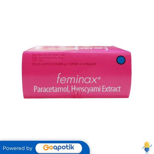 Feminax Box Isi 100 Tablet