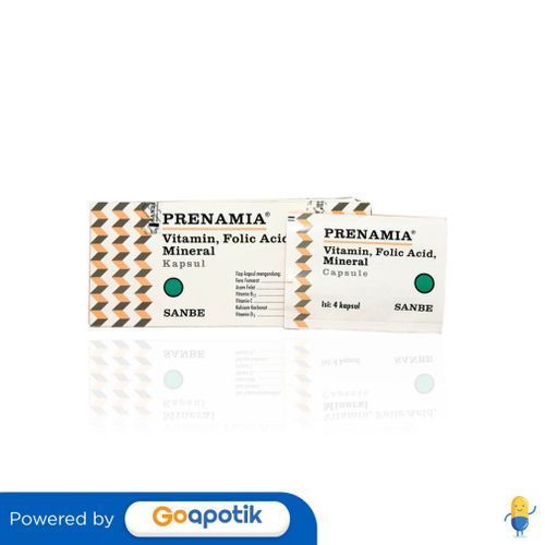 Prenamia Box Isi 100 Kapsul