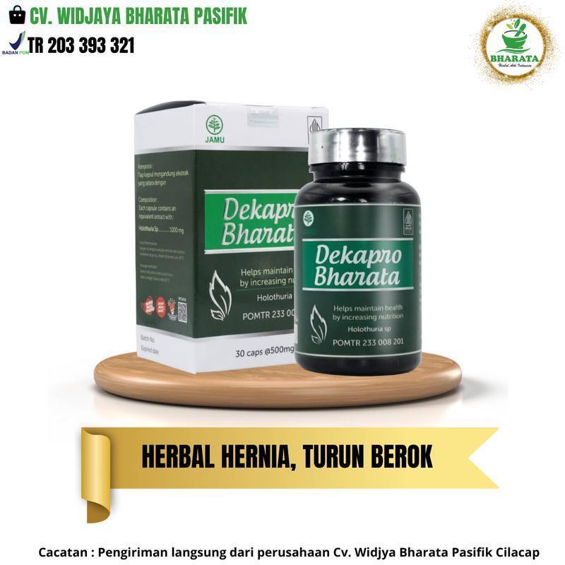 Herbal Hernia Dekapro Bharata MT
