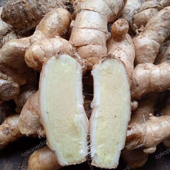 Temu Putih Segar Super 500 Gram