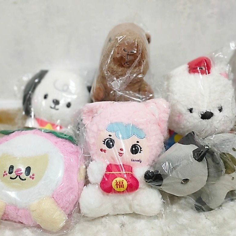 Boneka lucu boneka capit