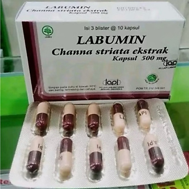 Labumin//ekstrak gabus//perstripp