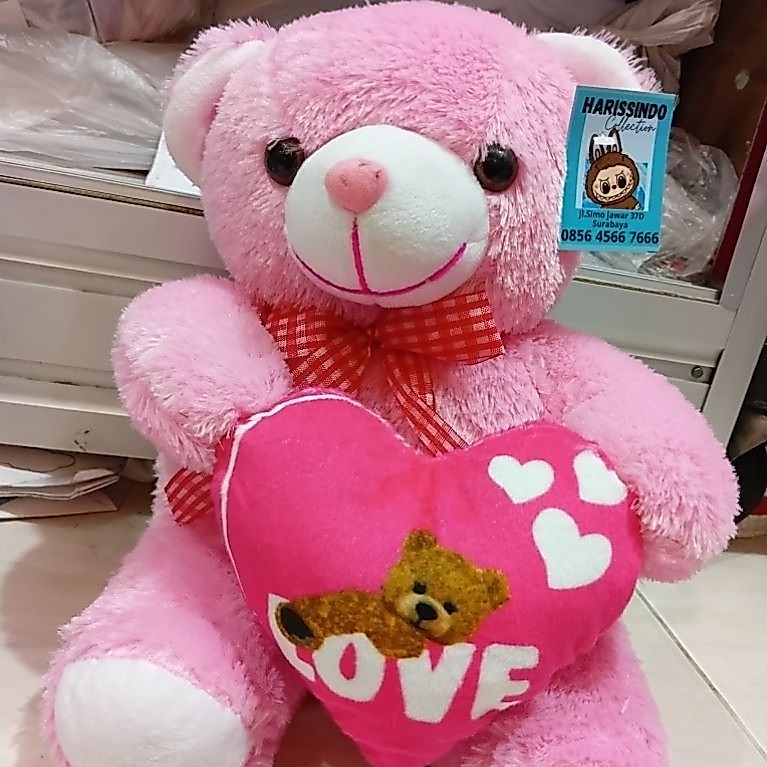bear love rasfur