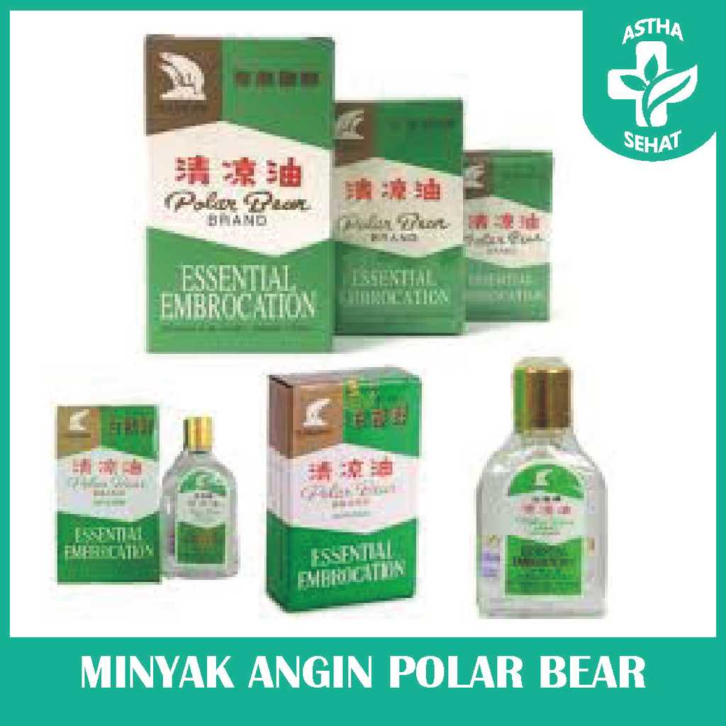 Minyak Angin Polar Bear