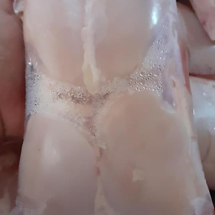 fillet dada ayam boneless