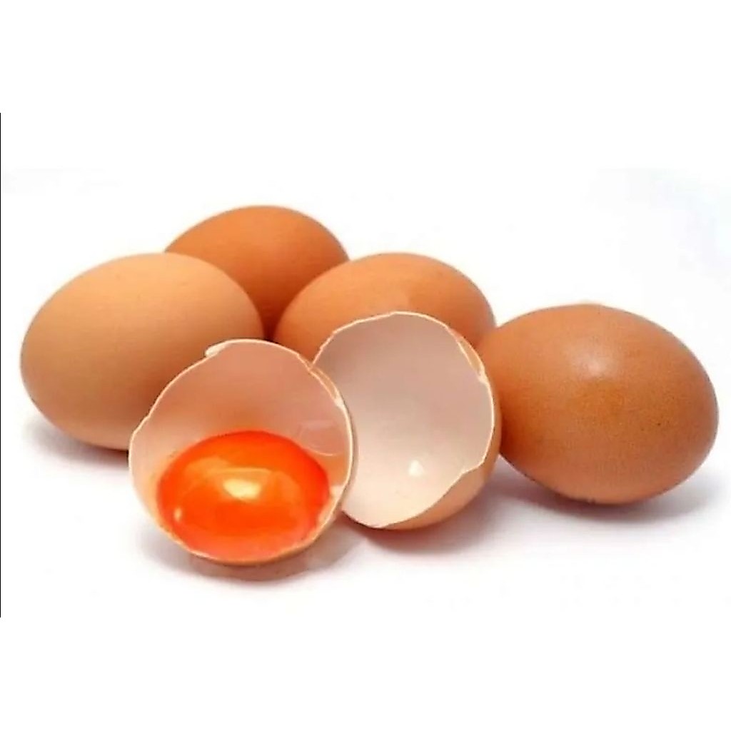 Telur Omega