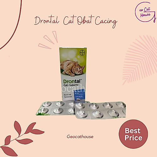 Drontal Cat 1 Tablet Obat Cacing Kucing