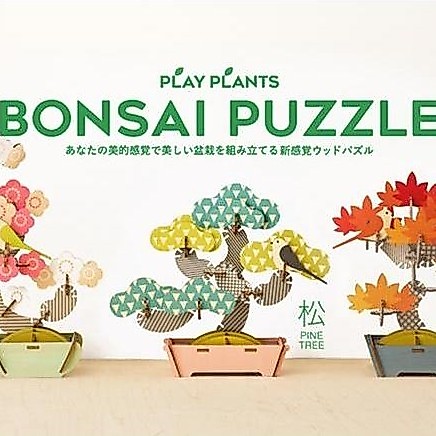 ` Play Plant Bonzai Puzzle