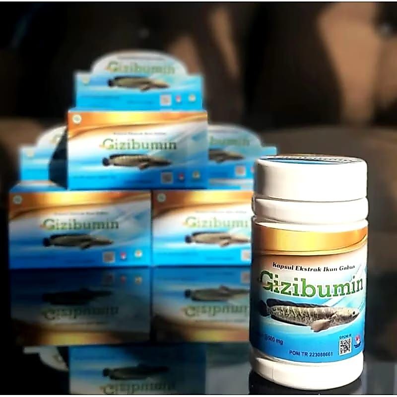 Gizibumin