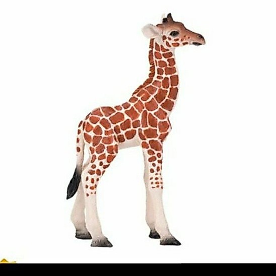 MOJO GIRAFFE CALF 81034