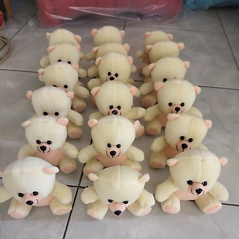 BONEKA BERUANG MNI/Bear mini bucket/Teddy Bear mini./hamper