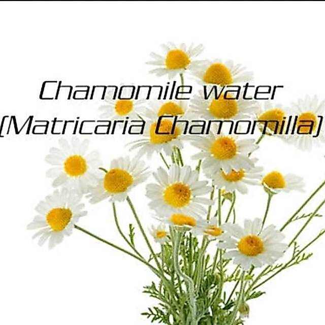 Chamomile Hydrosol 50 ml/Toner