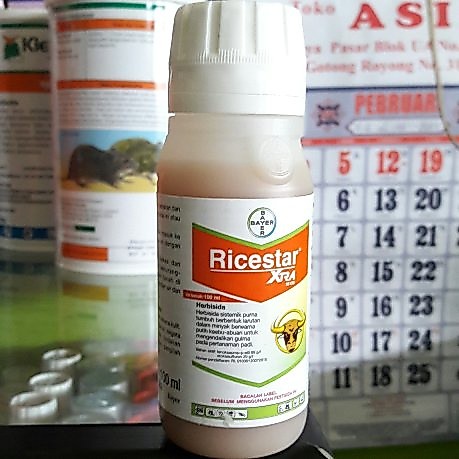 Ricestar Xtra 89OD 100ml