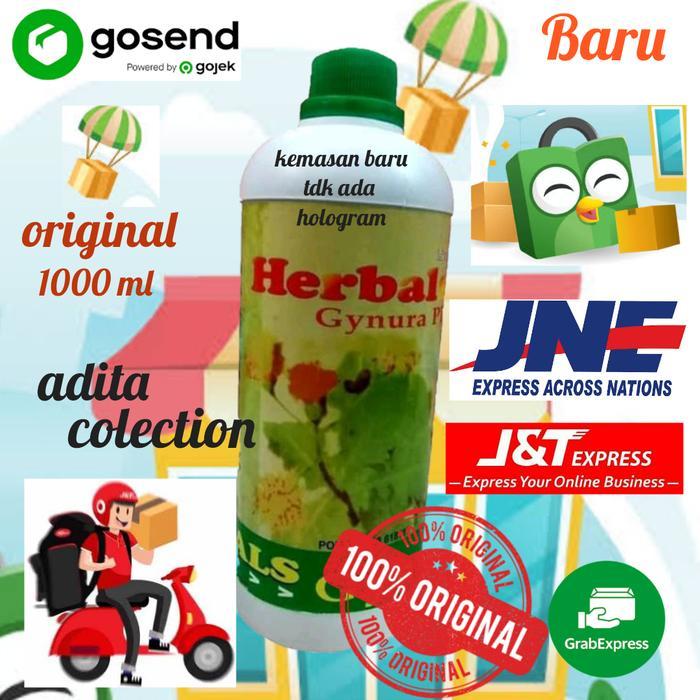 Herbal gynura plus(daun dewa)