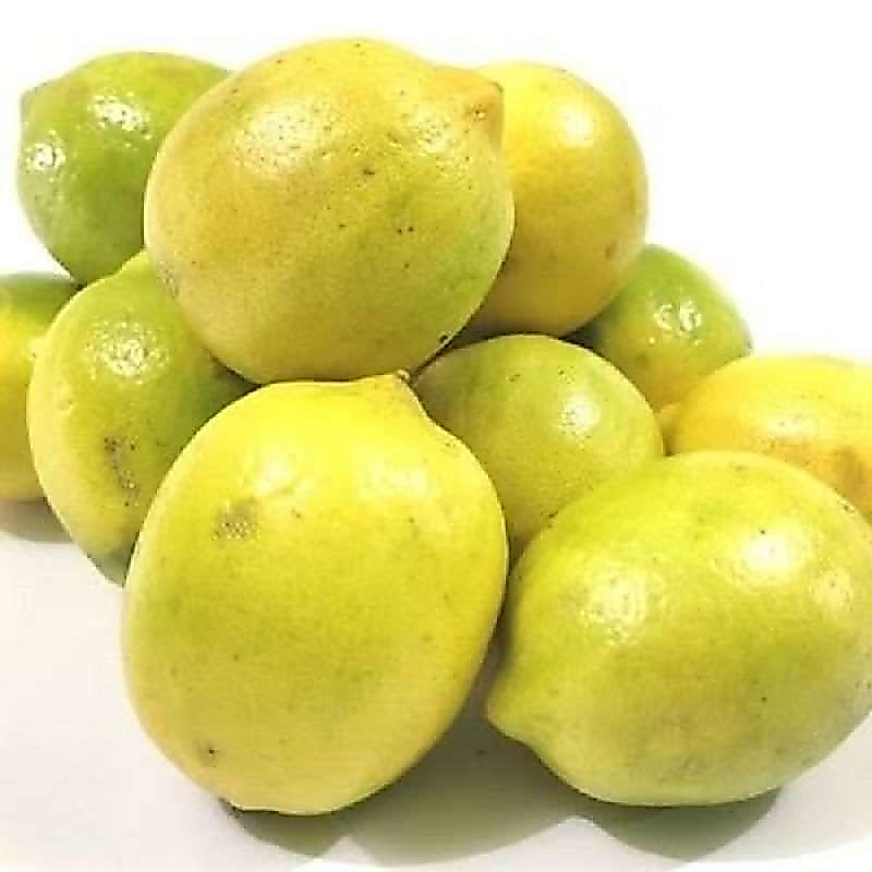 lemon lokal 250gr