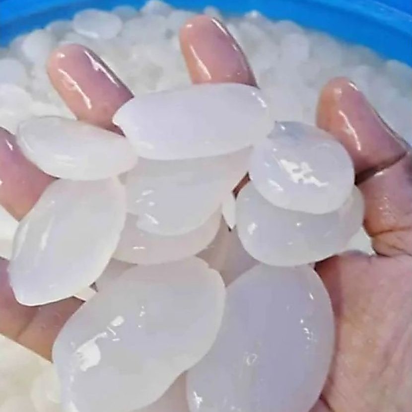 Kolang kaling (3) Kg