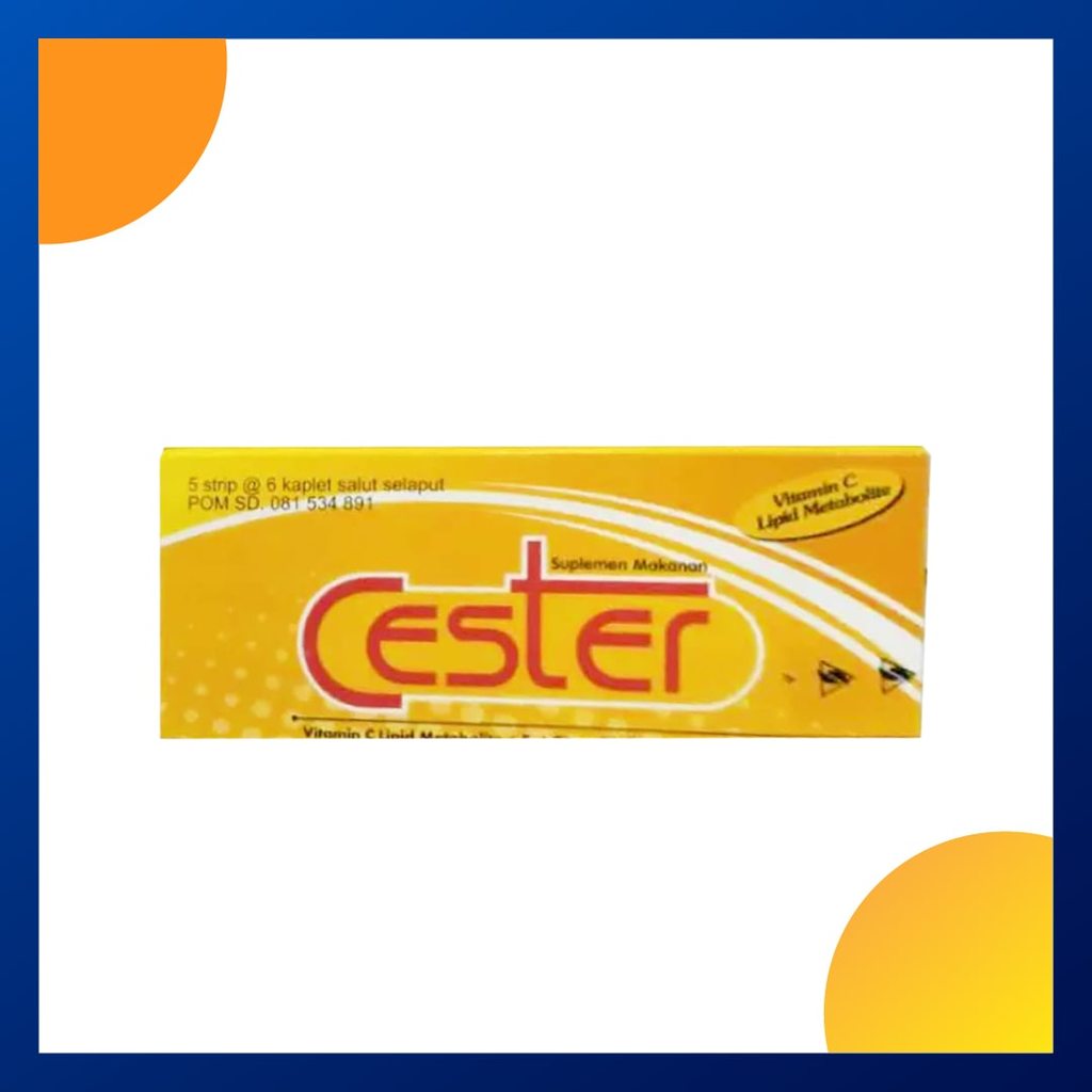 Cester Per Box Isi 30 Kapsul