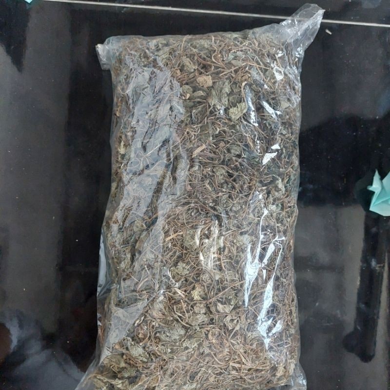 500gr Daun Pegagan Kering Premium